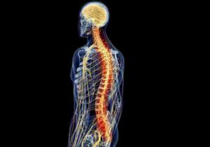 Neuroscienze